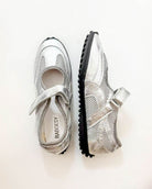 #color_silver