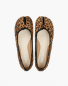 #color_camelleopard