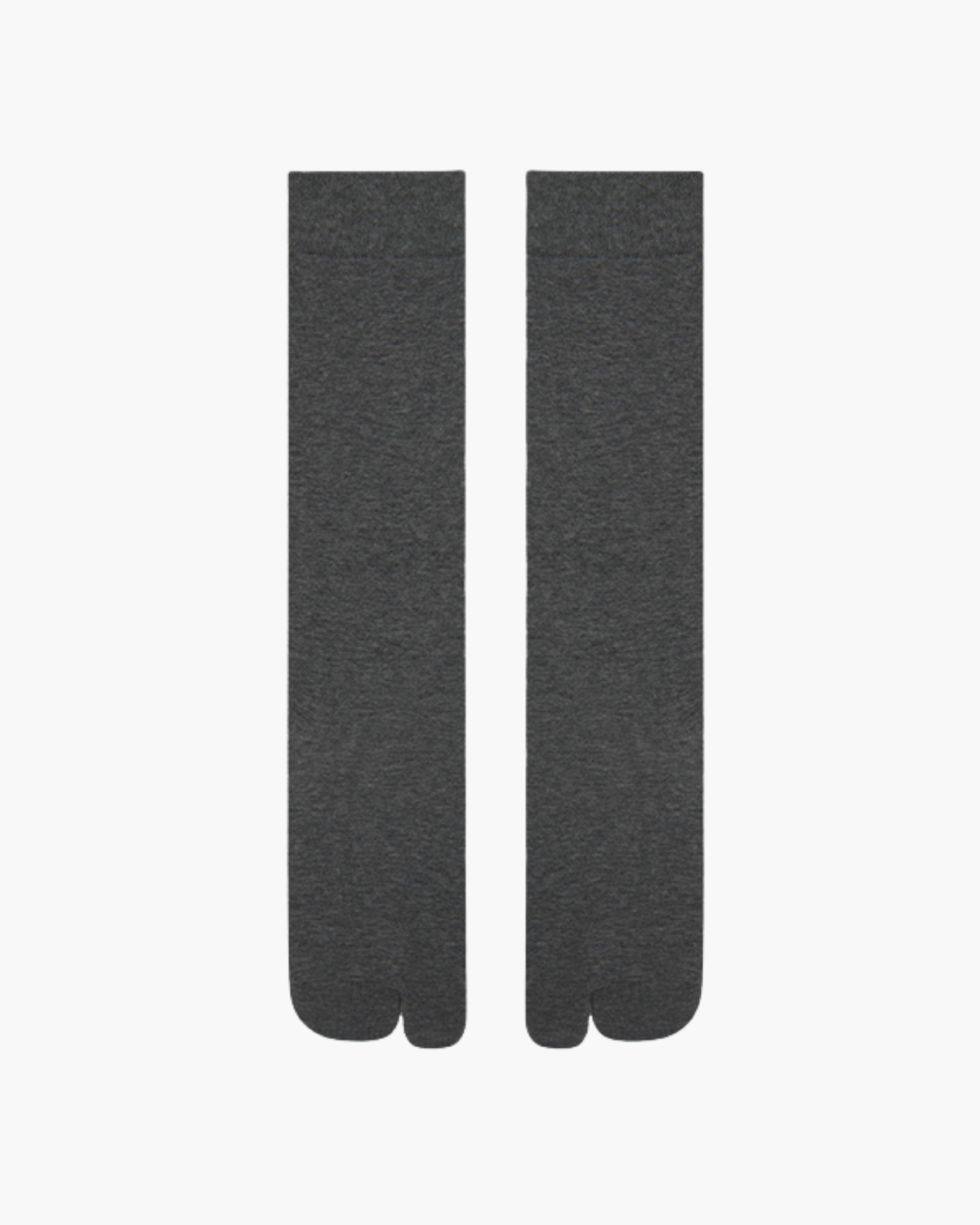 #color_lightgray