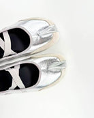 color_silver